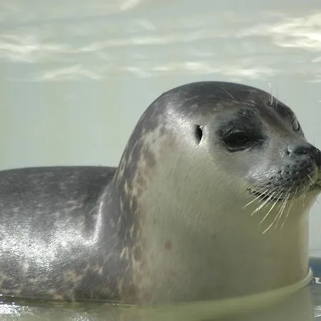 Aangenaam Texel Familie *