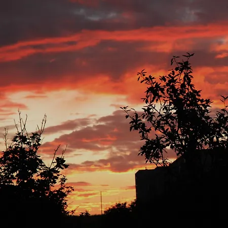 Aangenaam Texel Familie * 德科赫