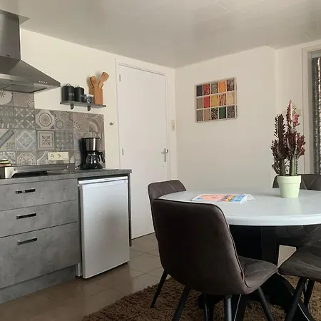 公寓 Aangenaam Texel Familie 德科赫