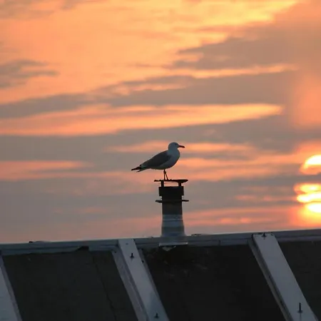 Aangenaam Texel Familie *