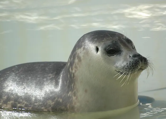 Aangenaam Texel Familie *