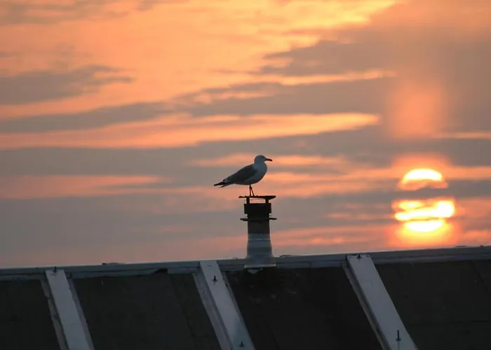 Aangenaam Texel Familie *