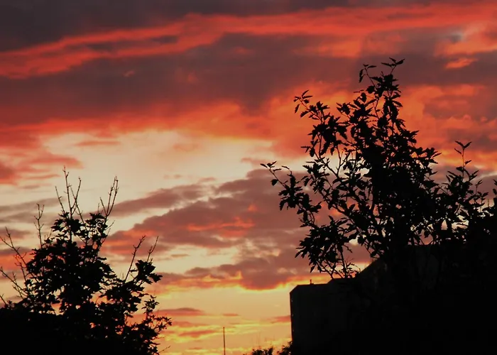 Aangenaam Texel Familie * De Koog